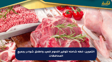 التموين: خطة شاملة لتوفير اللحوم للعيد وإطلاق شوادر بجميع المحافظات